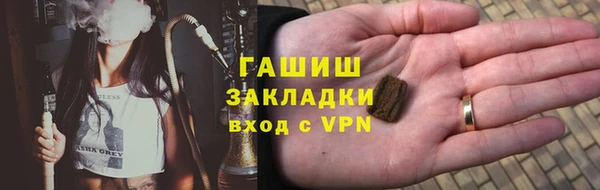 индика Алексин