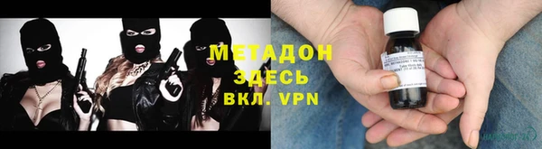 индика Алексин