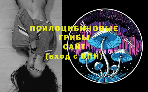 гидропоника Аркадак