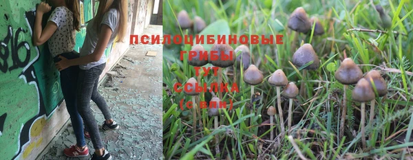 марки lsd Алзамай
