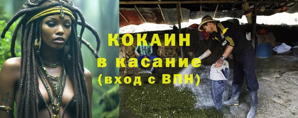 мяу мяу мука Алексеевка
