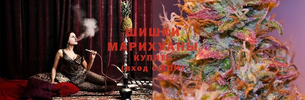 твердый Горнозаводск